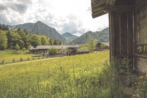 Das Bienenhaus am Rande des Dorfes.	 Foto: Markus Wasmeier