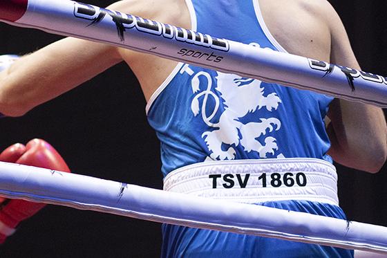 Erfolgreich: Boxsport beim TSV 1860 München. Foto: Alfons Seeler