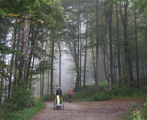 Am Sonntag, 19. September, findet eine Radelotur mit den Ayinger Grünen durch den Wald statt.  Foto: Privat