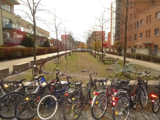 Der Graslilienanger ist voll mit Fahrrädern. Die Radständer sind besetzt, sogar die Bäume müssen als improvisierte Radelabstellplätze herhalten. Fopto: Tanja Beetz