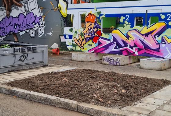 Die Bürgerinitiative Mehr Platz zum Leben weiht am 17. Dezember einen Beuys-Baum ein. Foto: BI Mehr Platz zum Leben
