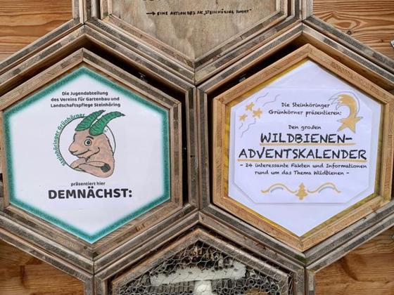 Steinhöringer Grünhörner haben einen Wildbienenadventskalender aufgestellt. Foto: VA