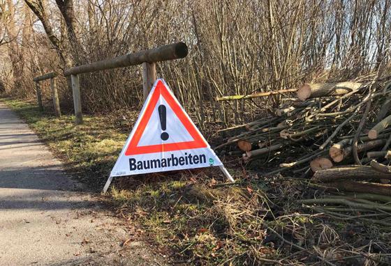 Bis Februar 2022 laufen Baumpflegearbeiten in den Erholungsgebieten im Landkreis München. Foto: LRA München