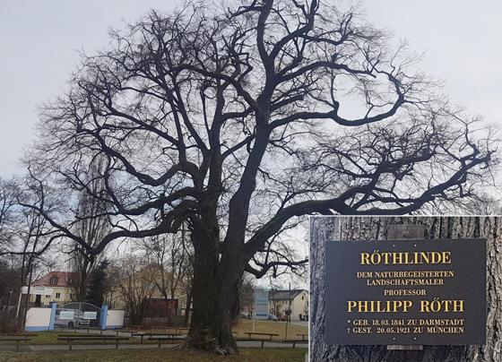 Die Röth-Linde an der Nederlinger Straße gilt als ältester Baum auf Münchner Stadtgebiet. Kleines Bild: Der Landschaftsmaler Phlipp Röth saß oft unter der Linde, die heute seinen Namen trägt. Fotos: bs