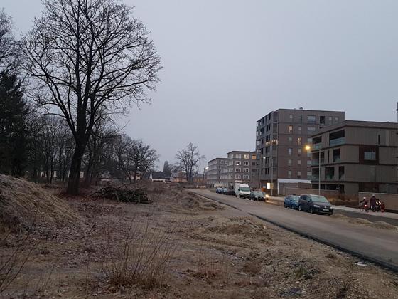 Aktuell prägen im Prinz-Eugen-Park noch Erdhügel und Bauzäune das Stadtbild. An der Jörg-Hube-Straße entsteht ein Jugendspiel- und Sportbereich. Foto: bs