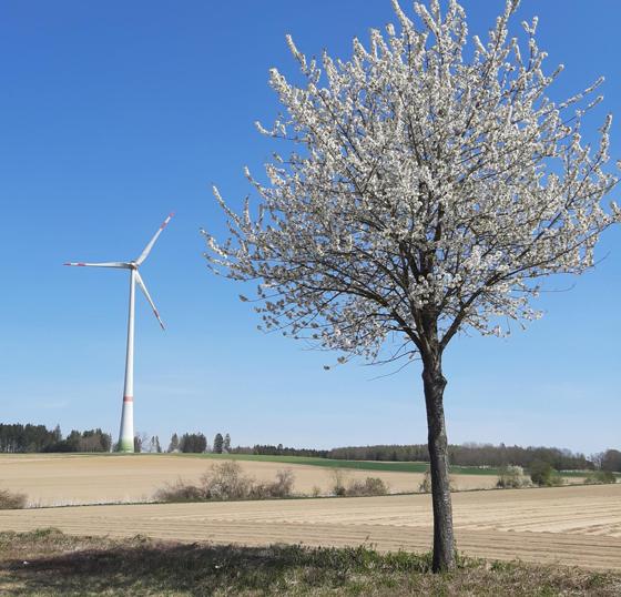 Die Energiewende ist nicht unumstritten. Das wird vor allem am Thema Windkraft deutlich. Foto: Stefan Dohl