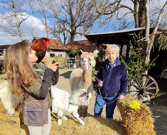 Auf "Monis kleiner Farm" finden behinderte Kinder die Möglichkeit, kostenlos an tiergestützten Theraphien teilzunehmen. Foto: Luzia Sonnenkinder