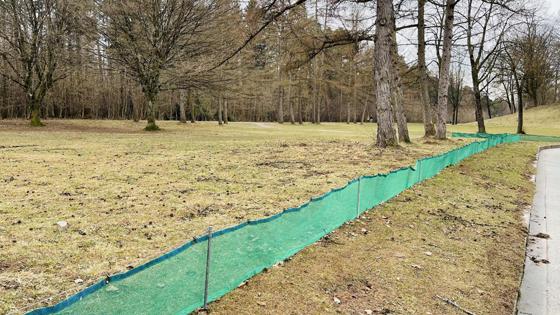 Hier am Münchener-Kindl-Weg in Harlaching sind bereits Zäune zum Schutz der Amphibien aufgestellt worden. Foto: hw