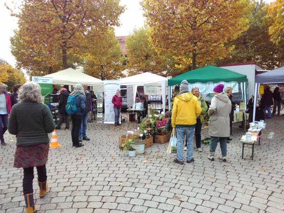 Der 15. Saatgut- und Pflanzen-Tauschmarkt findet am 23. April auf dem Hans-Eham-Platz statt. Foto: Carolin Glück