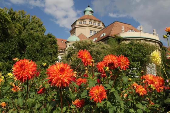 Der Botanische Garten gedenkt dem 200. Geburtstag Gregor Mendels mit einem vielseitigen Programm. Foto: Rita Verma