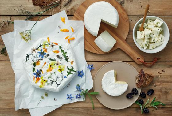 Noch bis einschließlich 8. Mai können sich alle milchverarbeitenden Betriebe in Bayern mit ihren besten Spezialitäten beim Käsewettbewerb Bayerische Käseschätze gesucht! bewerben. Foto: ©Barbara Bonisolli/StMELF