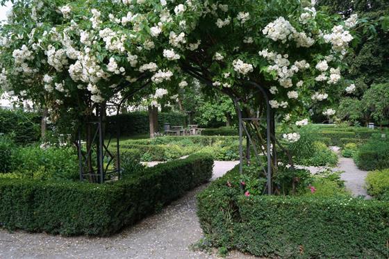 Ein wunderbar idyllischer Ort, der Rosengarten im Behrpark&#8232; in Berg am Laim. Foto: Mathias Brandstaetter