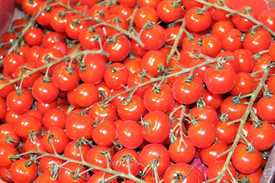 Gesund und beliebt: Jede/r Deutsche verzehrt jährlich im Schnitt über 25 KIlo Tomaten. Foto: dek