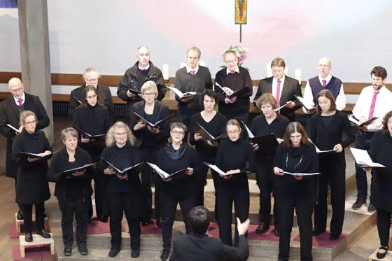 Der Chor vox nova kommt mit seinem Programm "Nordlichter" in die Immanuelkirche. Foto: Christian Seidler/vox nova