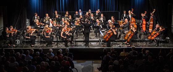 Das Orchester Zorneding-Baldham freut sich auf viele Gäste beim Frühjahrskonzert. Foto: Johannes Schmieg