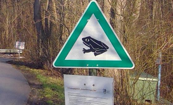 Eine beliebte Wanderstrecke für Amphibien ist die Zufahrt zum Poschinger Weiher, der offiziell Unterföhringer See heißt. Hier heißt es: Obacht geben! Foto: bas