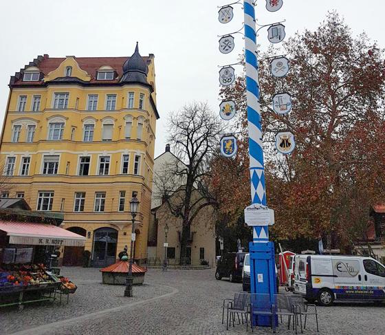 Die Haidhauserinnen und Haidhauser dürfen sich heuer über einen neuen Maibaum am Wiener Platz freuen. Zum Fest laden die "Freunde Haidhausens" ein. Foto: bas