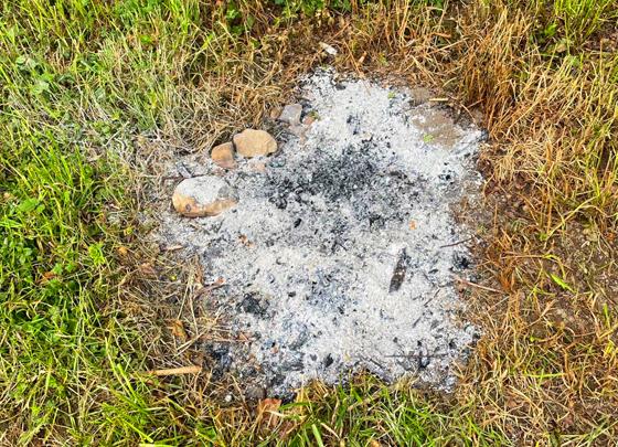Feuerstellen in den Wiesen rund um das Moosacher Bad am Steinsee sorgen immer wieder für Probleme in Sachen Umweltschutz. Foto: LRA EBE