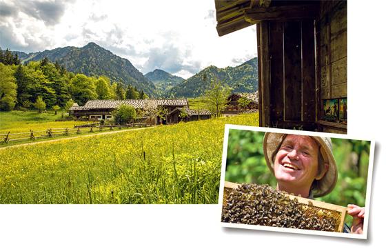 Auf den Magerwiesen finden die Bienen viel Futter. 	Fotos: Gitti und Markus Wasmeier