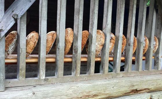 Am 17. Juni wird im Umweltgarten im Holzbackofen frisches Brot gebacken. Foto: Reinhard Gottinger