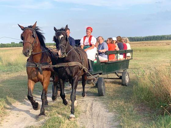 Auch mit der Pferdekutsche war die Reisegruppe der Bürgervereinigung Ottendichl unterwegs. Foto: Verein