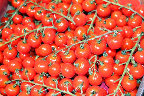 Tomaten kann man relativ leicht selbst anbauen und ernten, wenn man weiß, wie. Foto: dek