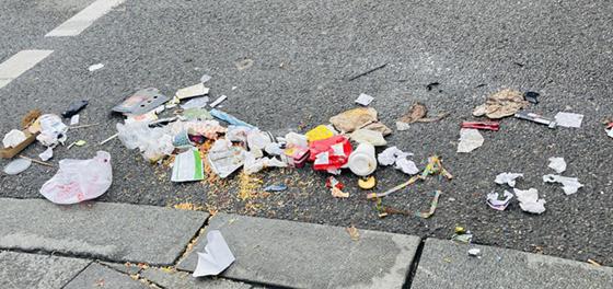 Am World Cleanup Day wird achtlos weggeworfenem Müll der Kampf angesagt. Foto: hw