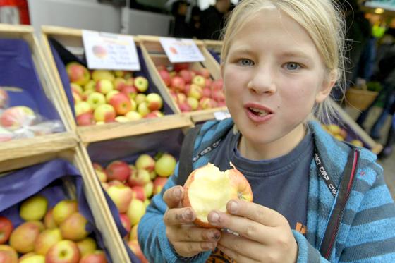 Ein Besuch auf dem Apfel- und Honigmarkt ist immer ein großer Genuss. Foto: Claus Schunk