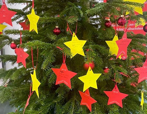 Die Wunschbäume stehen bis zum 12. Dezember in elf Münchner Stadtbibliotheken. Foto: bb