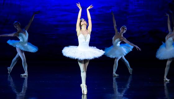 Auf das Ballett Schwanensee darf man sich am 22. Dezember im Cuvilliés Theater freuen. Foto: Klassik Konzert Dresden