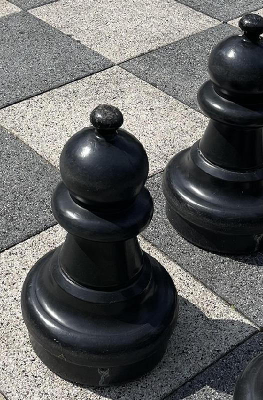 Schach kann man drinnen und draußen spielen, je nach Lust und Wetter. Foto: hw