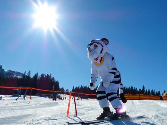Das DSV-Maskottchen Skitty steht natürlich wie immer für Selfies für große und kleine Teilnehmer bereit und wird sich sicher auch mal auf Ski zeigen. Foto: DSV Safety Days