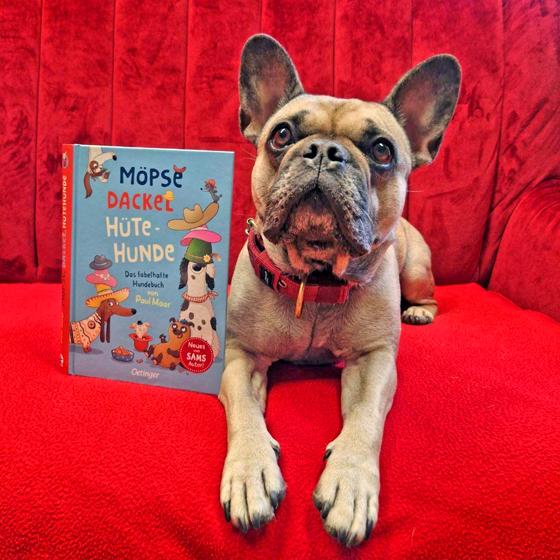 Auf die Lesung mit Hund Frieda darf man sich im Mai in der Bücherei Vaterstetten freuen. Foto: Bücherei Vaterstetten