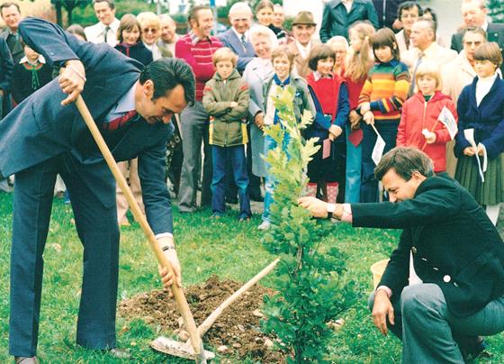 Zeichen der Freundschaft: 1978 wurde die bretonische Eiche beim Grasbrunner Rathaus gepflanzt. Foto: privat