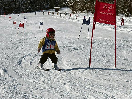 Vorsicht die Zwergerl sind los: Skirennen für die Kleinsten am 8. Februar. 	Foto: VA