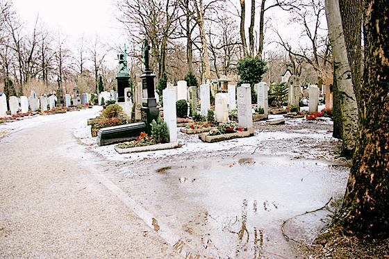 Das Wegenetz im Ostfriedhof, soll Zug um Zug schon im Frühjahr verbessert werden. Foto: Hettich