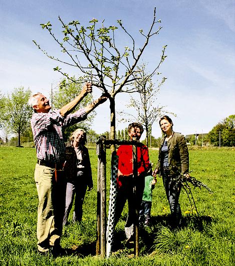 Werner Reindl vom Gartenbauverein führte vor, wie man einen Obstbaum perfekt zuschneidet. Foto: Woschée