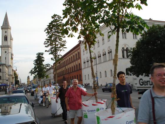 Bäume auf Wanderschaft: Mitarbeiter von Green City ziehen mit den Wanderbäumen durch die Ludwigstraße. Foto: Green City