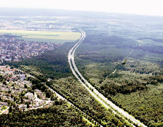 Der Perlacher/Grünwalder Forst ist durch einen Autobahn-Südring bedroht. Am Samstag, 23. Mai, soll dagegen demonstriert werden. Foto: Schunk