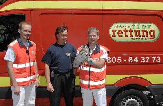 Kümmerten sich um den Turmfalken: Feuerwehr und die Ärzte der Tierrettung München.	Foto: Feuerwehr