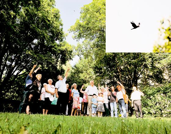 Manchen Ottobrunnern sind die Krähen ein Dorn im Auge, aber viele freuen sich über die Anwesenheit der intelligenten Vögel.  Fotos (2): Schunk