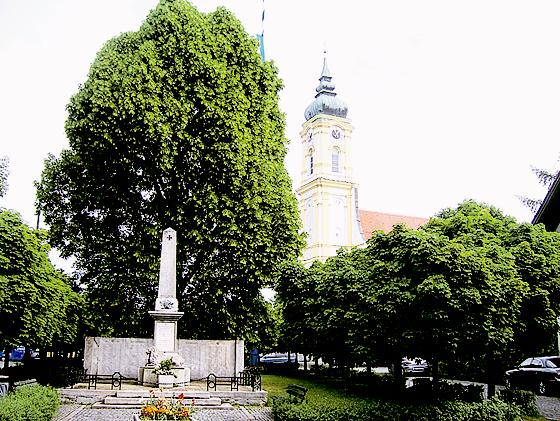 4.000 Euro würde die Sanierung des Kriegerdenkmals am Pfanzeltplatz kosten. Foto: pb