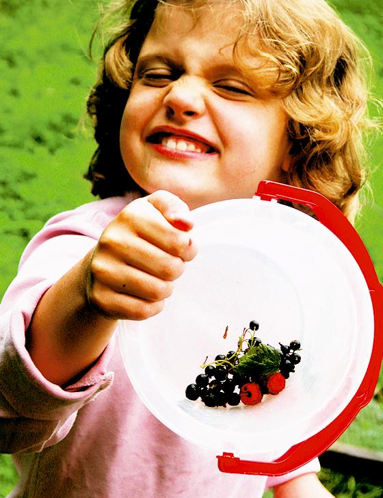 Haben jetzt Saison, aber wie schmecken leckere Beeren noch besser? Das können Kinder lernen.	Foto: VA