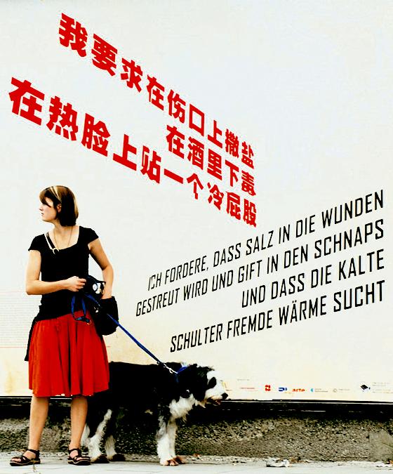 Eines der Poesie-Plakate.	 Foto: Lissy Mitterwallner
