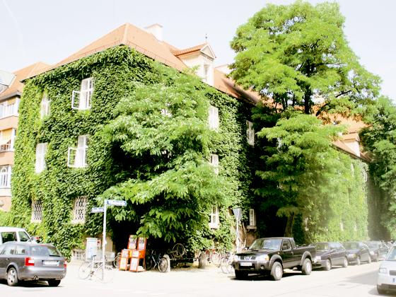 Ein gelungenes Schwabinger Beispiel für eine grüne Fassade mitten in der Innenstadt von München.	Foto: Urbanes Wohnen
