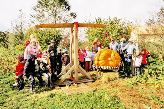 Der Riesenkürbis von Siegertsbrunn bringt das Gewicht von acht Kindern auf die Waage. Foto: VA