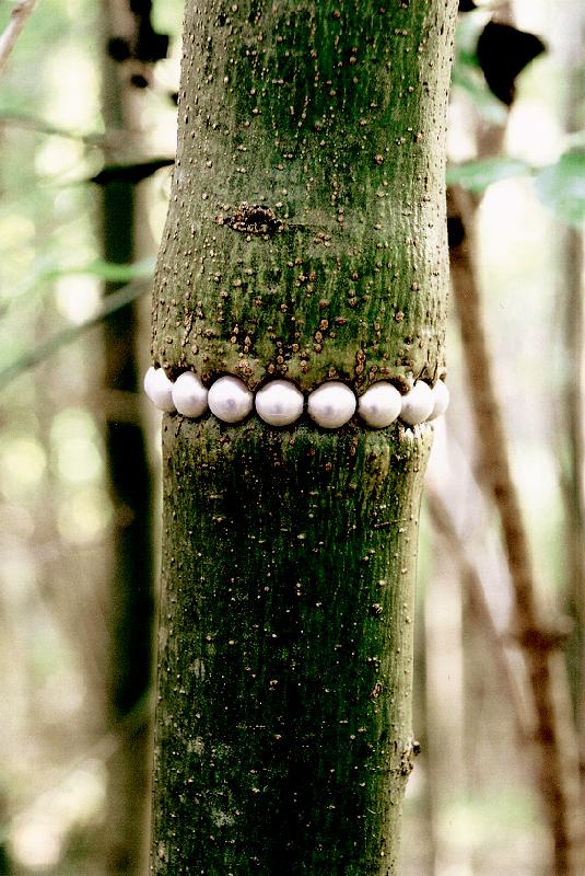 Perlenkette für einen Baum von Gisbert Stach.	Foto: VA