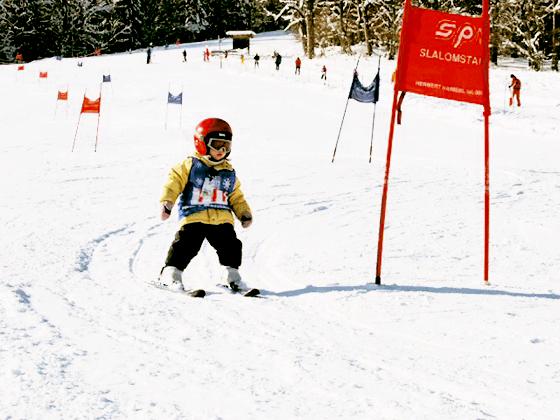 Alle Kinder sind eingeladen am Skirennen der WSV München teilzunehmen. Foto: VA