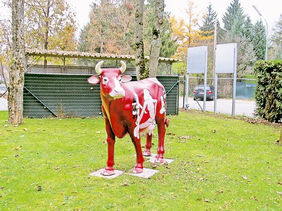 Eine Kuh in der Hofer Straße wirbt für das »horizontale Gewerbe«.  Foto: aha