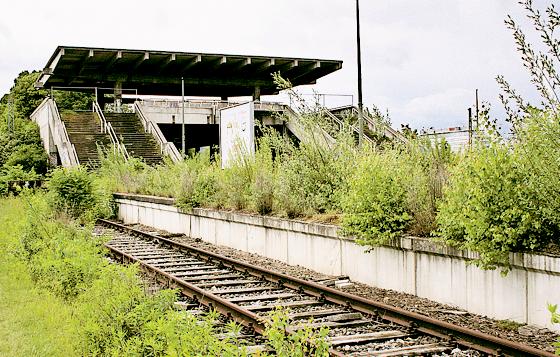 38 Jahre nach der Olympiade hat sich der ehemalige Olympiabahnhof in ein Biotop verwandelt. 	Foto: ws